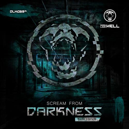 ND Vidual - Signals