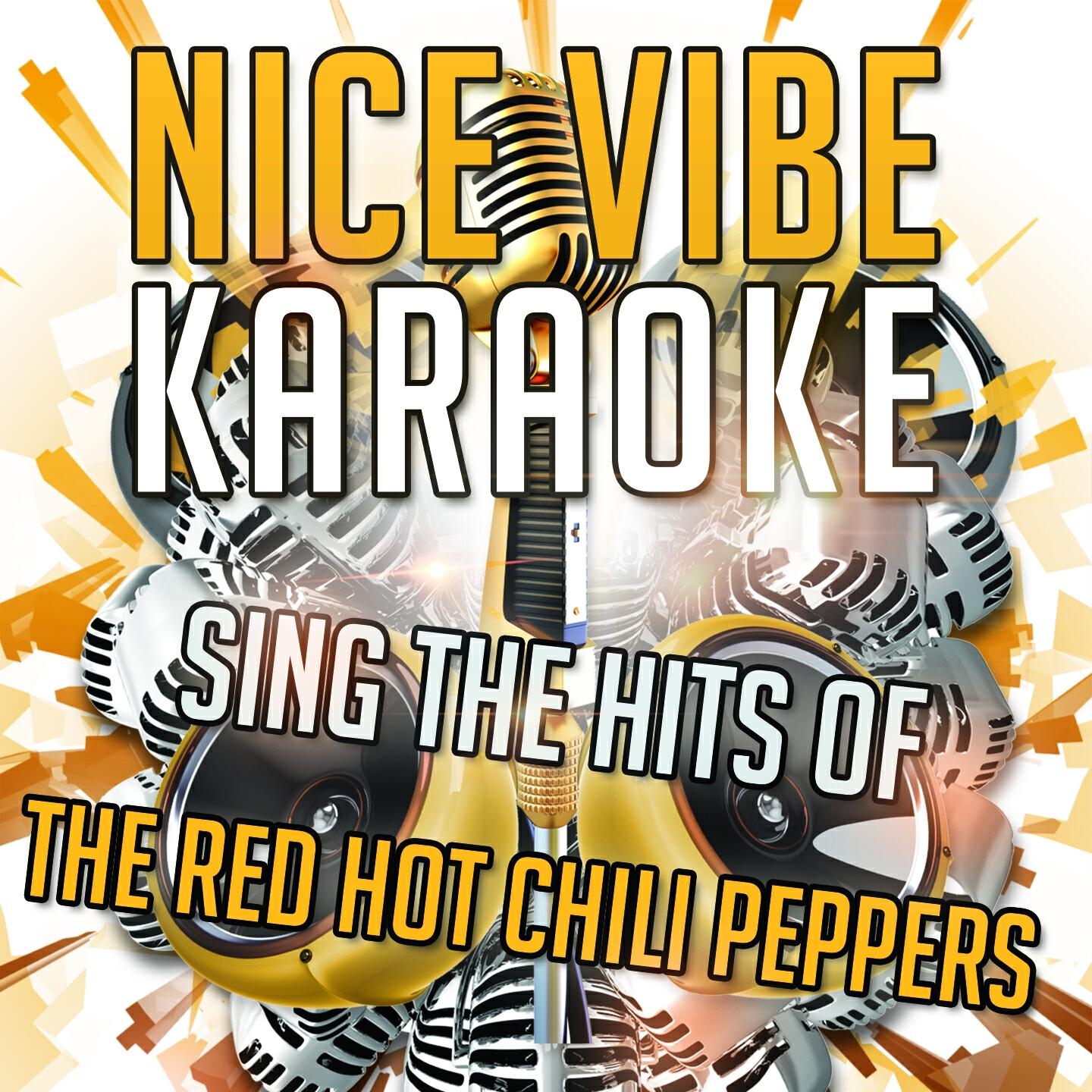 Nice Vibe - Can't Stop (Karaoke Version) (Originally Performed By Red Hot Chili Peppers)
