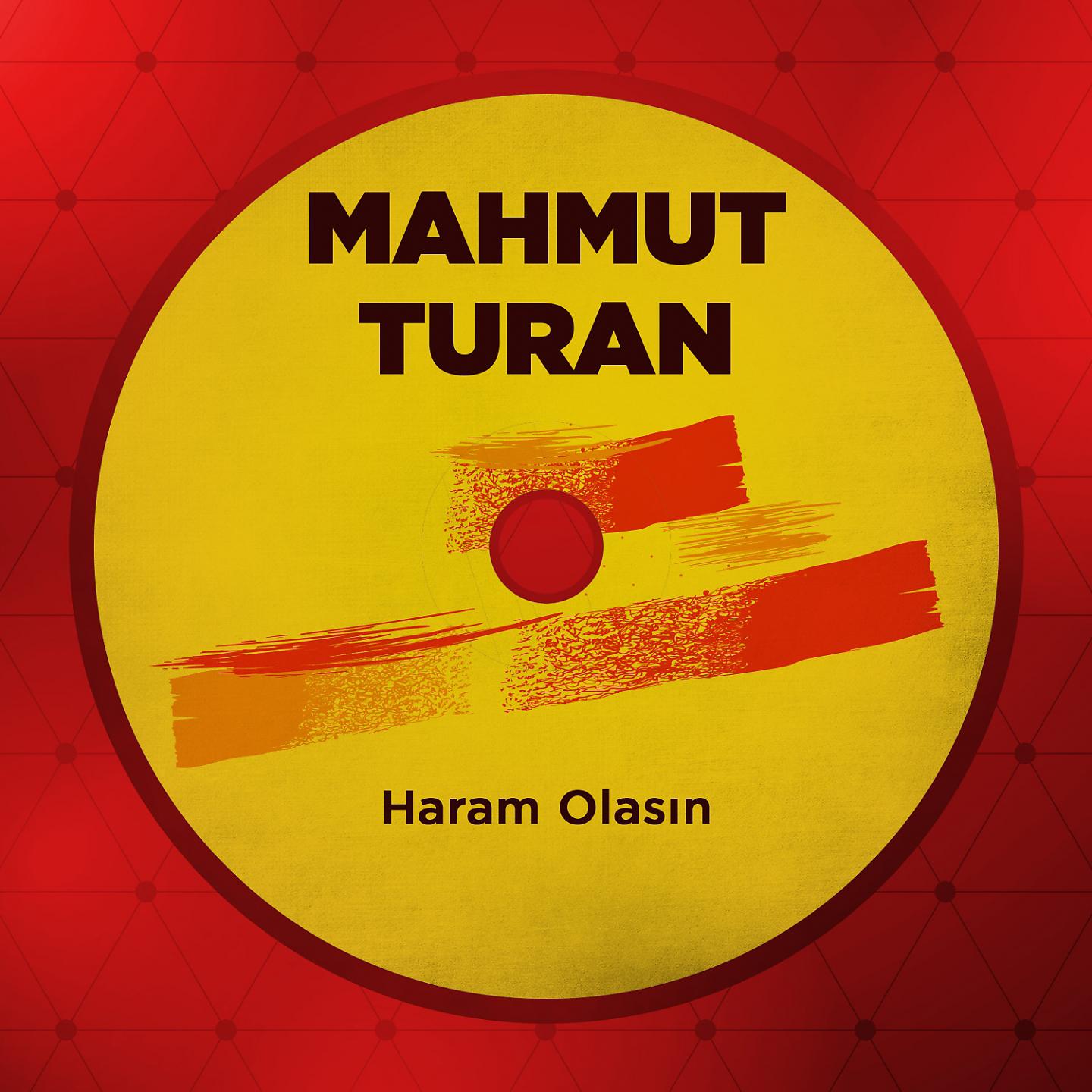 Постер альбома Haram Olasın