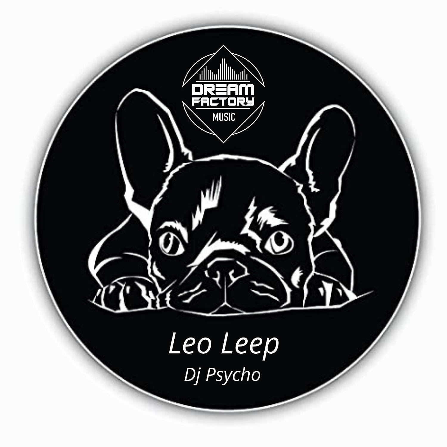Постер альбома Leo Leep