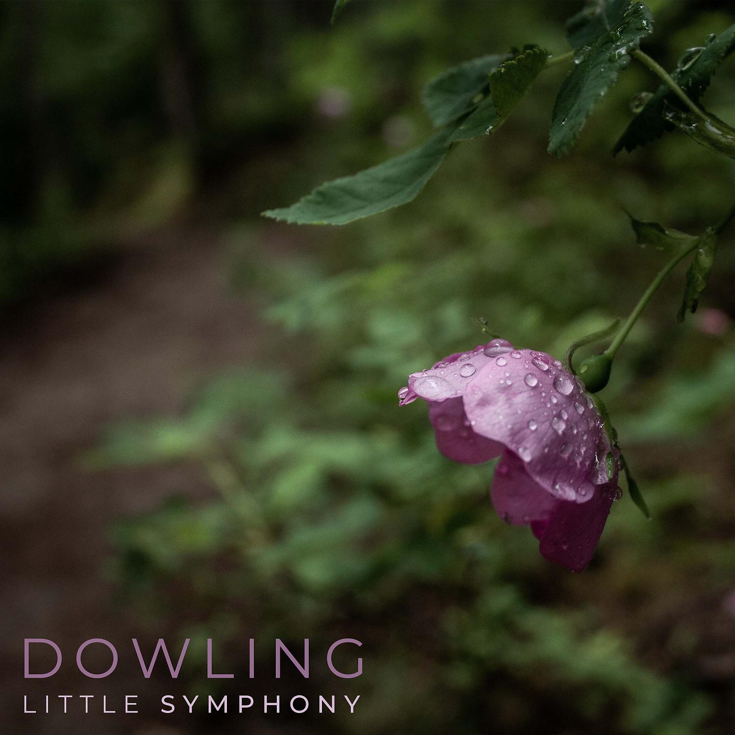 Постер альбома Dowling