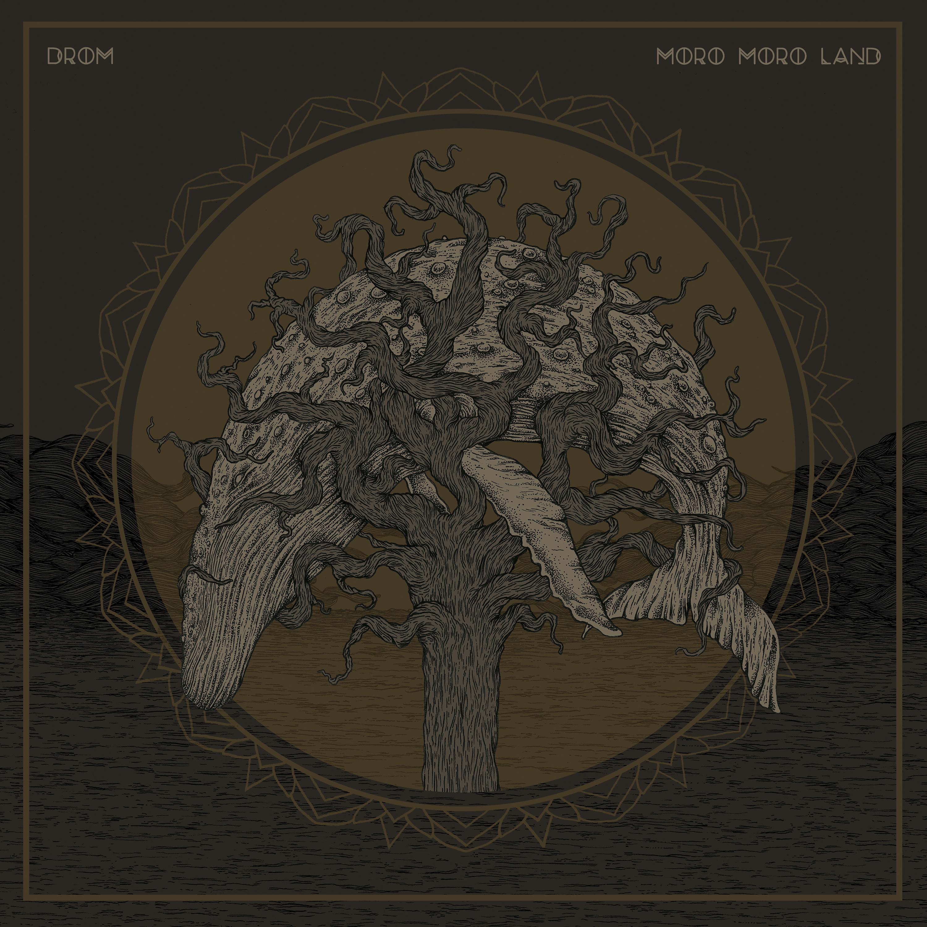 Постер альбома Drom / Moro Moro Land split