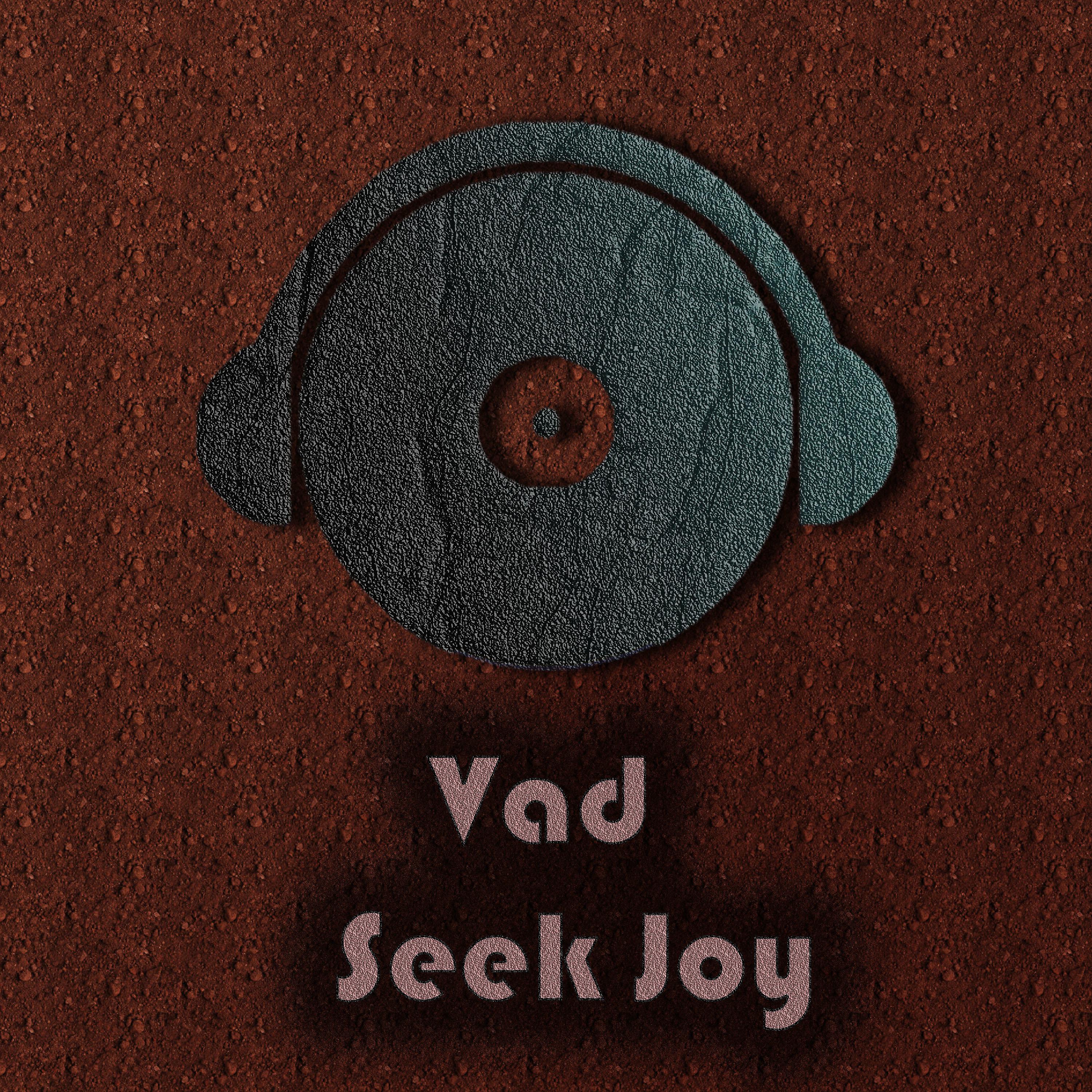 Постер альбома Seek Joy