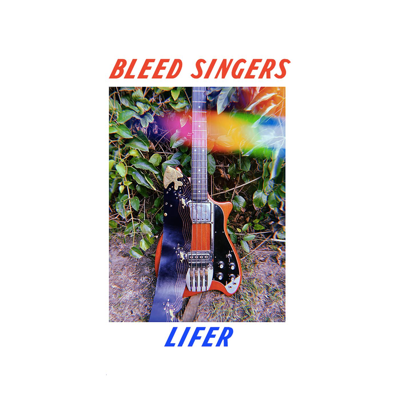 Постер альбома Lifer