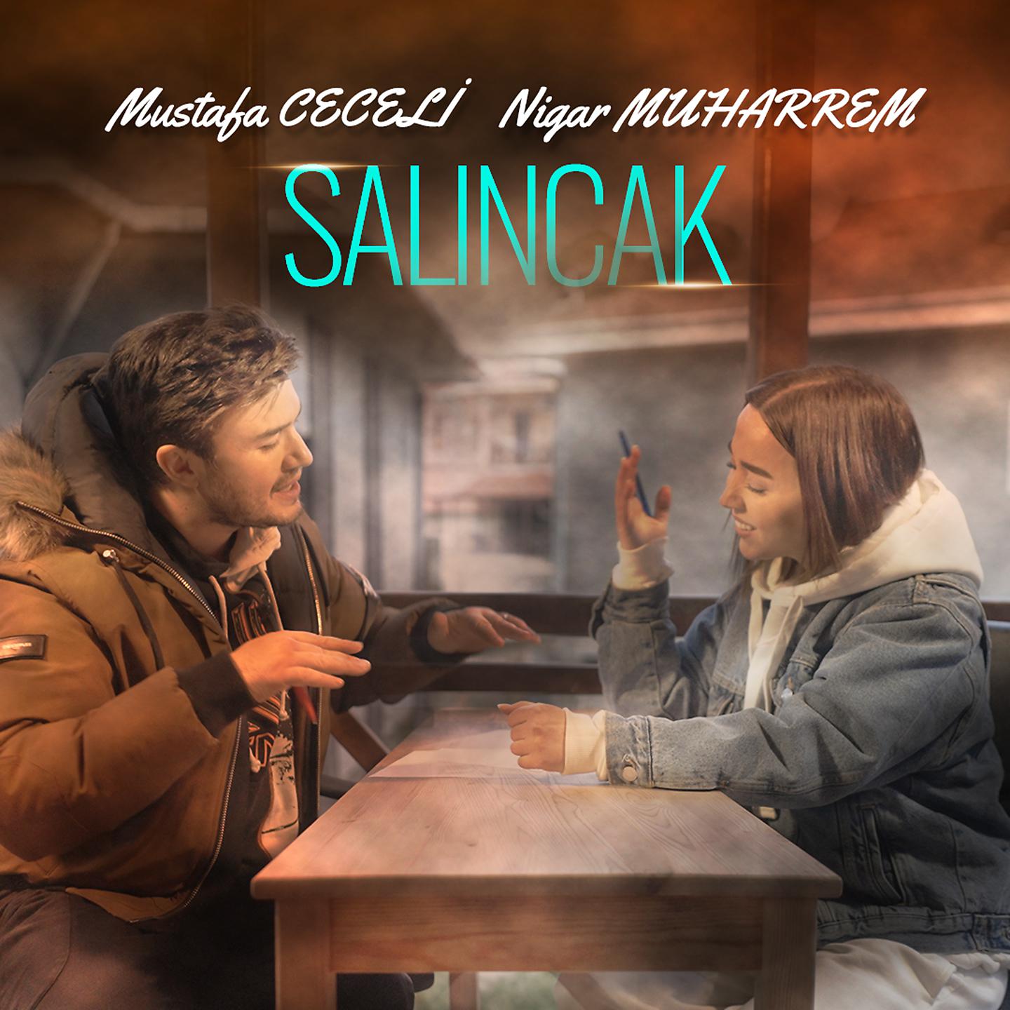 Постер альбома Salıncak