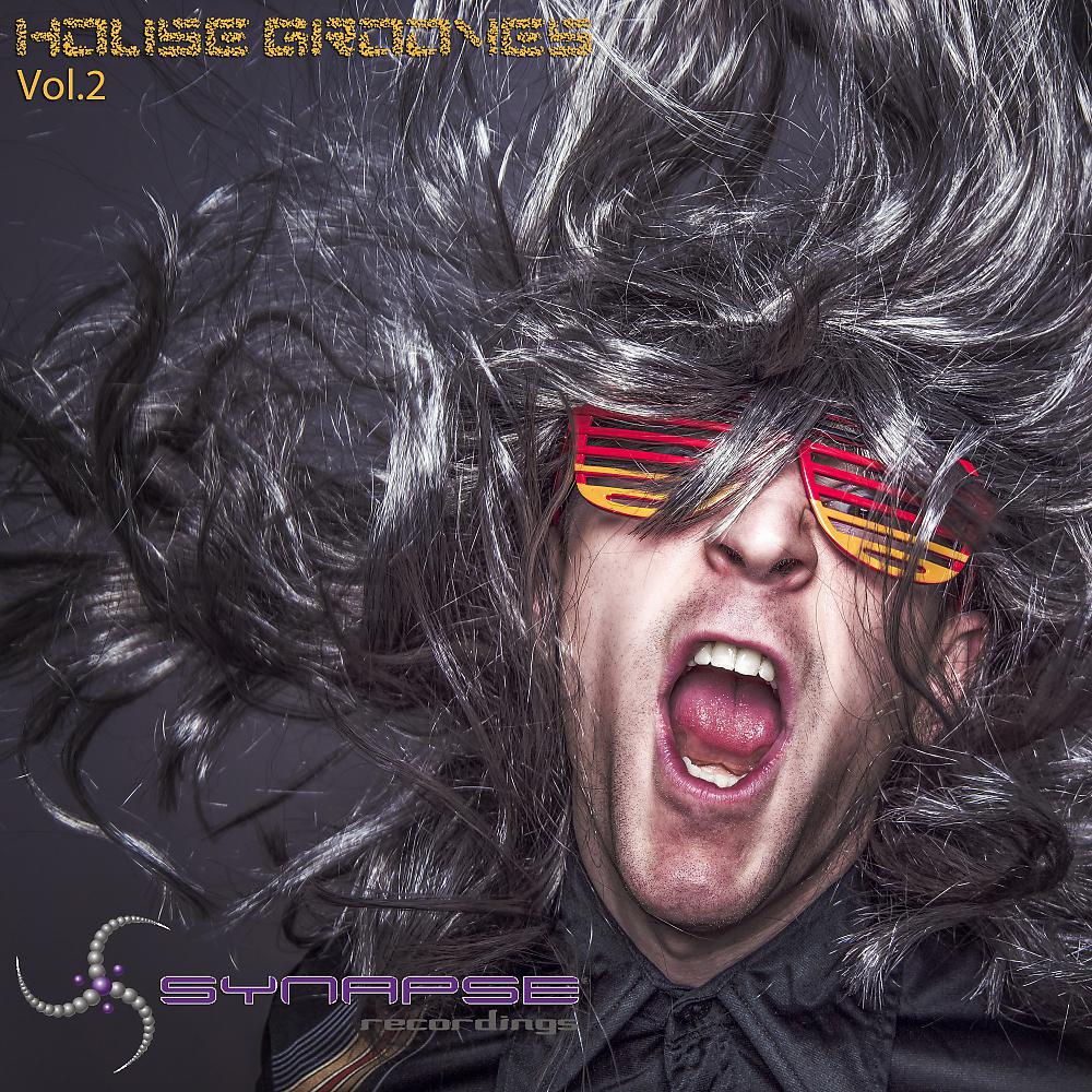 Постер альбома House Grooves Vol.2
