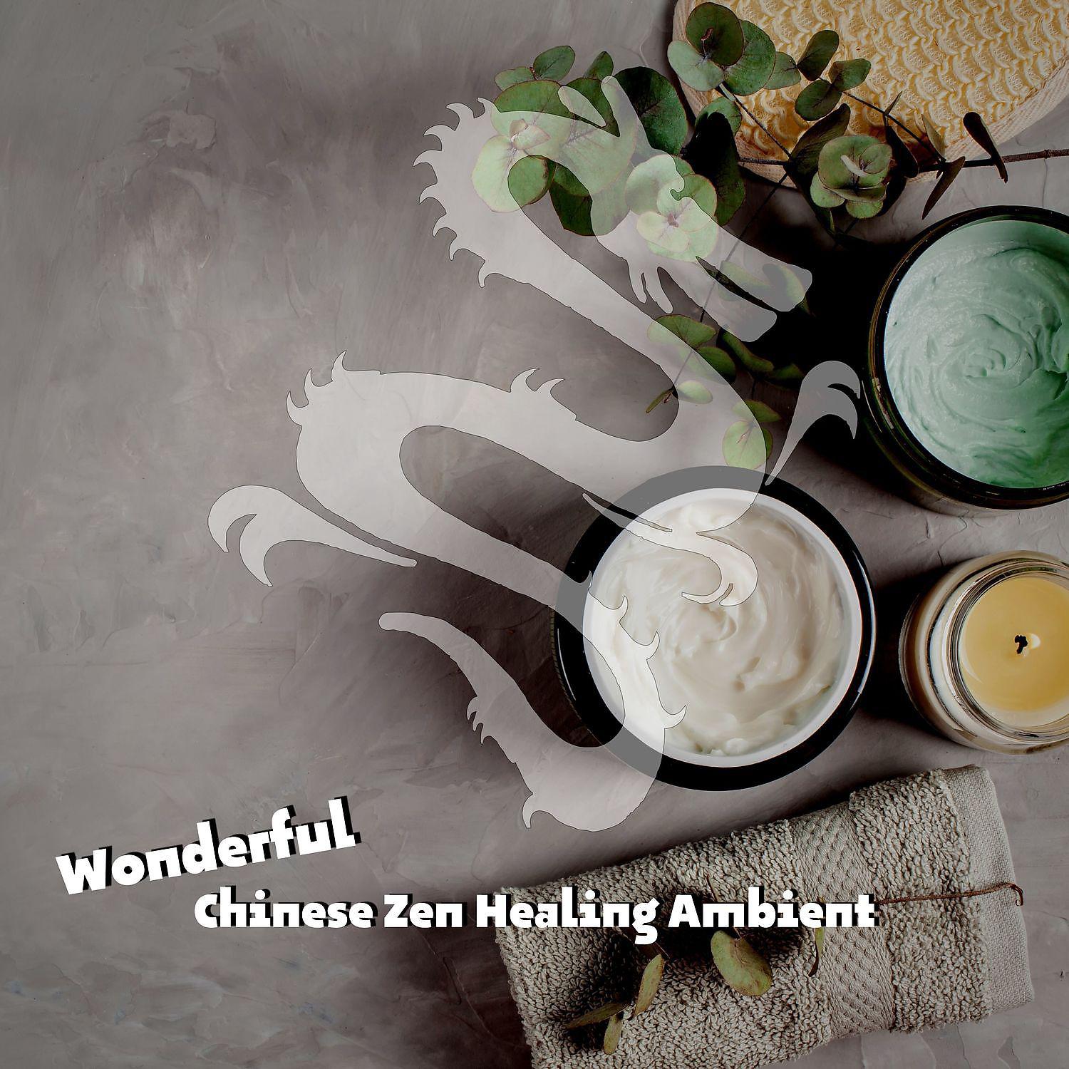 Постер альбома Wonderful Chinese Zen Healing Ambient