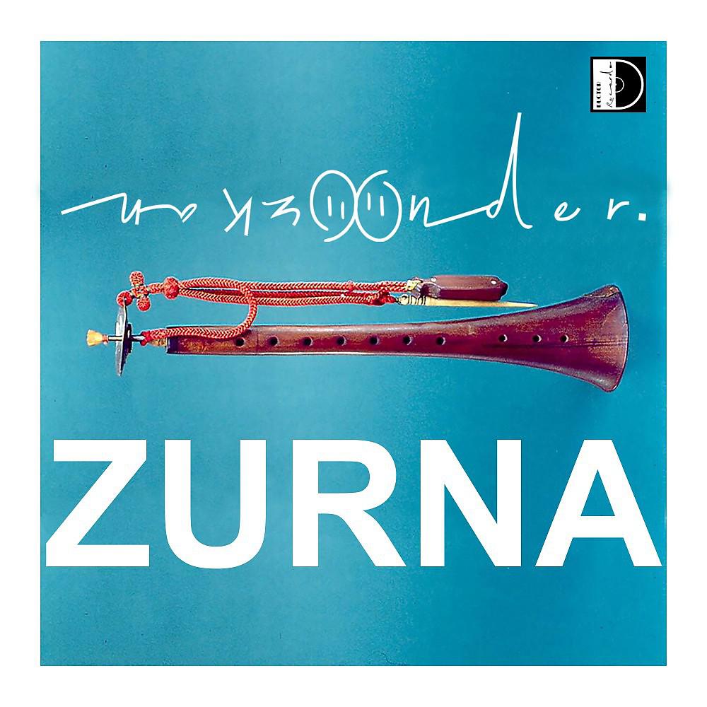 Постер альбома Zurna