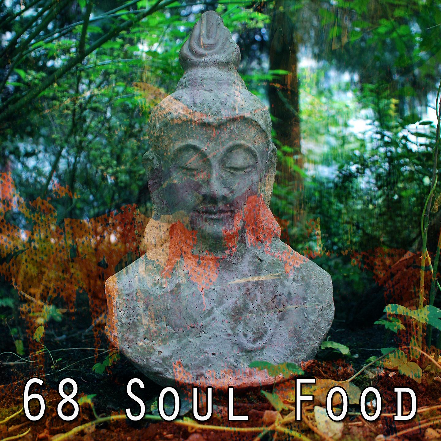 Постер альбома 68 Пища души