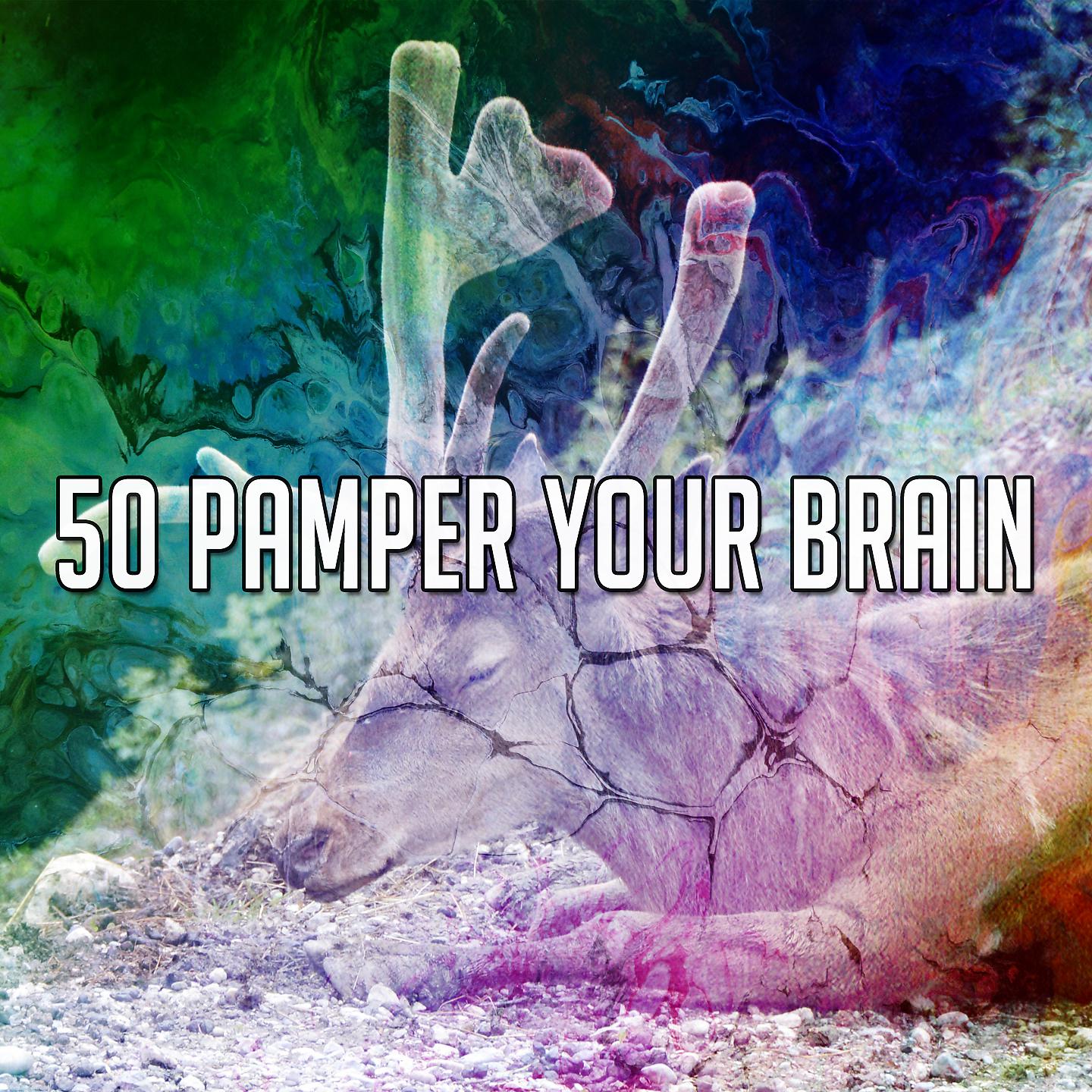 Постер альбома 50 Побалуйте свой мозг
