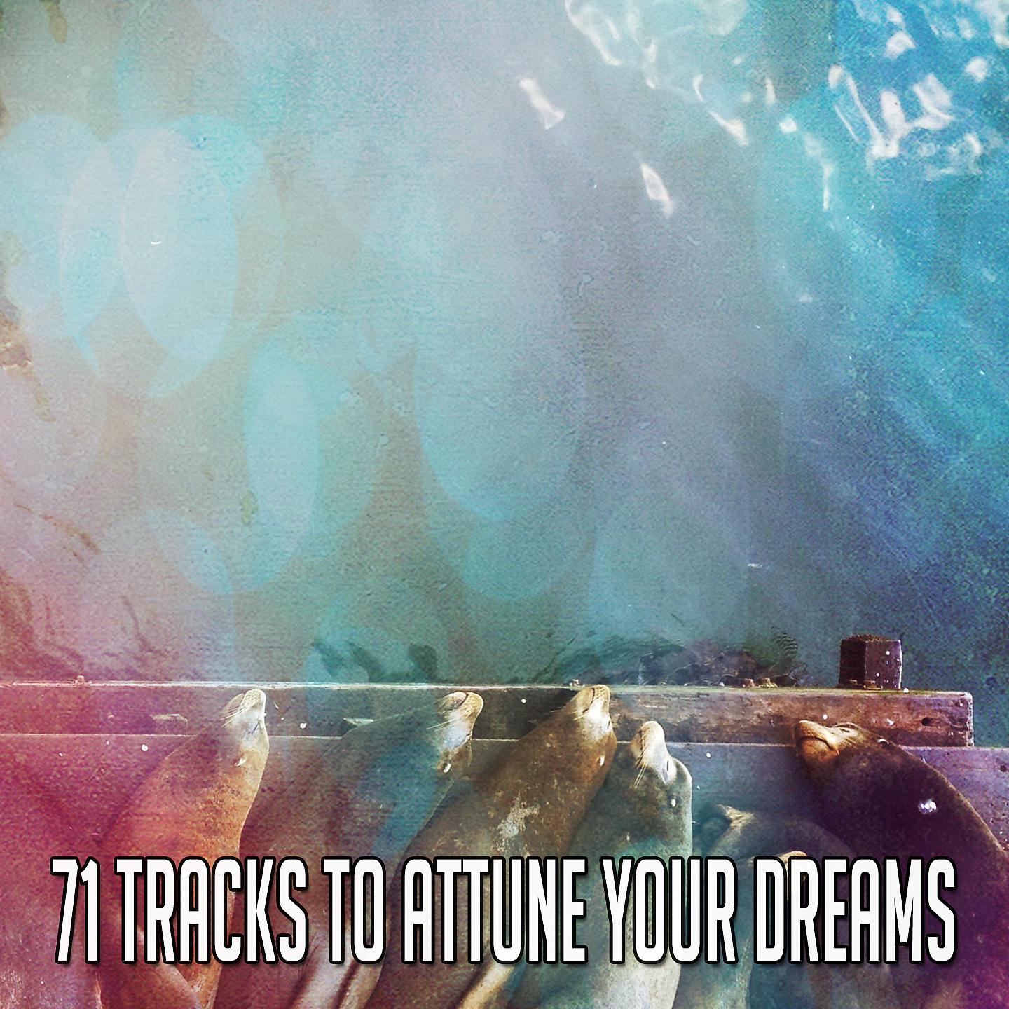 Постер альбома 71 трек, чтобы настроить вашу мечту
