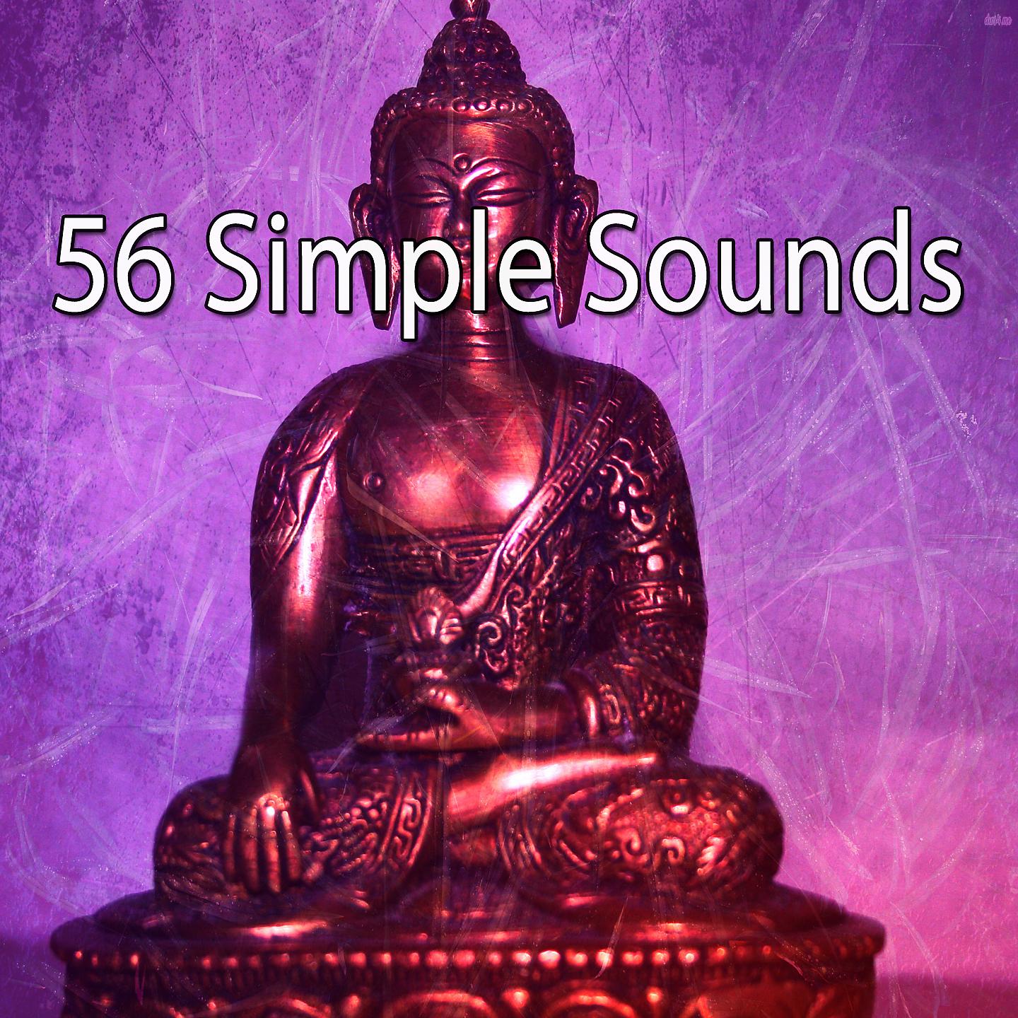 Постер альбома 56 простых звуков