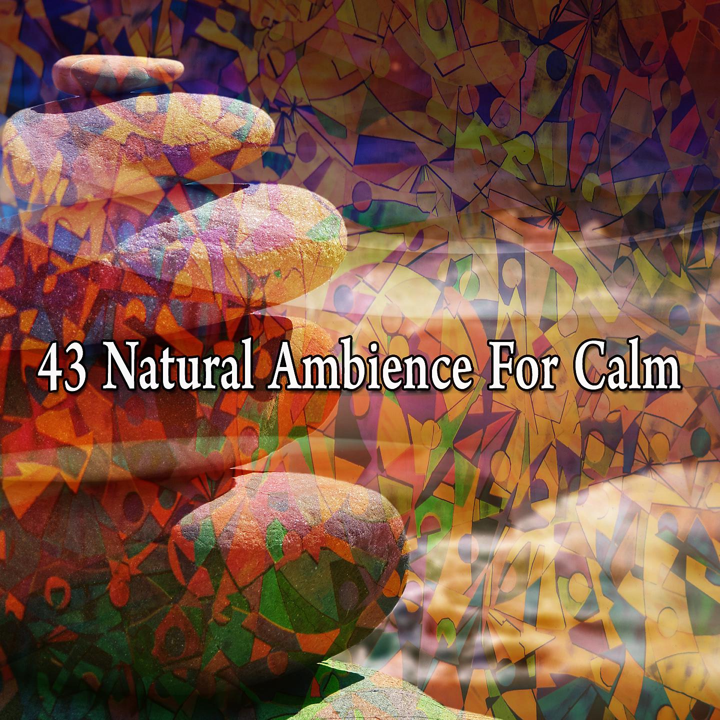 Постер альбома 43 Естественная атмосфера для спокойствия