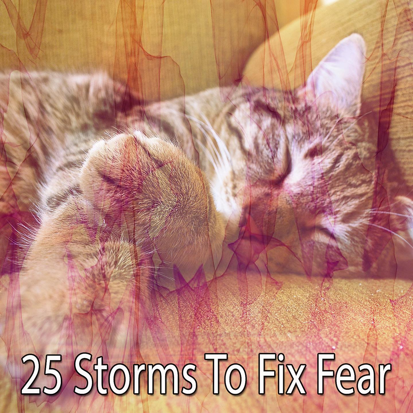 Постер альбома 25 штормов, чтобы избавиться от страха