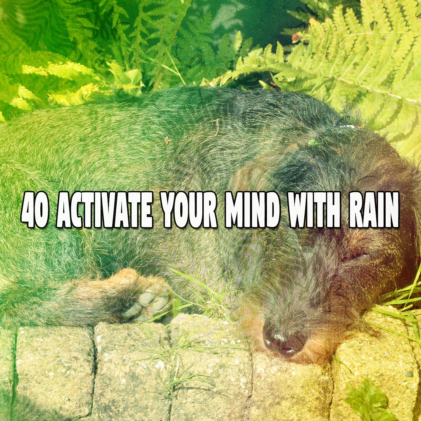 Постер альбома 40 Активизируйте свой разум дождем
