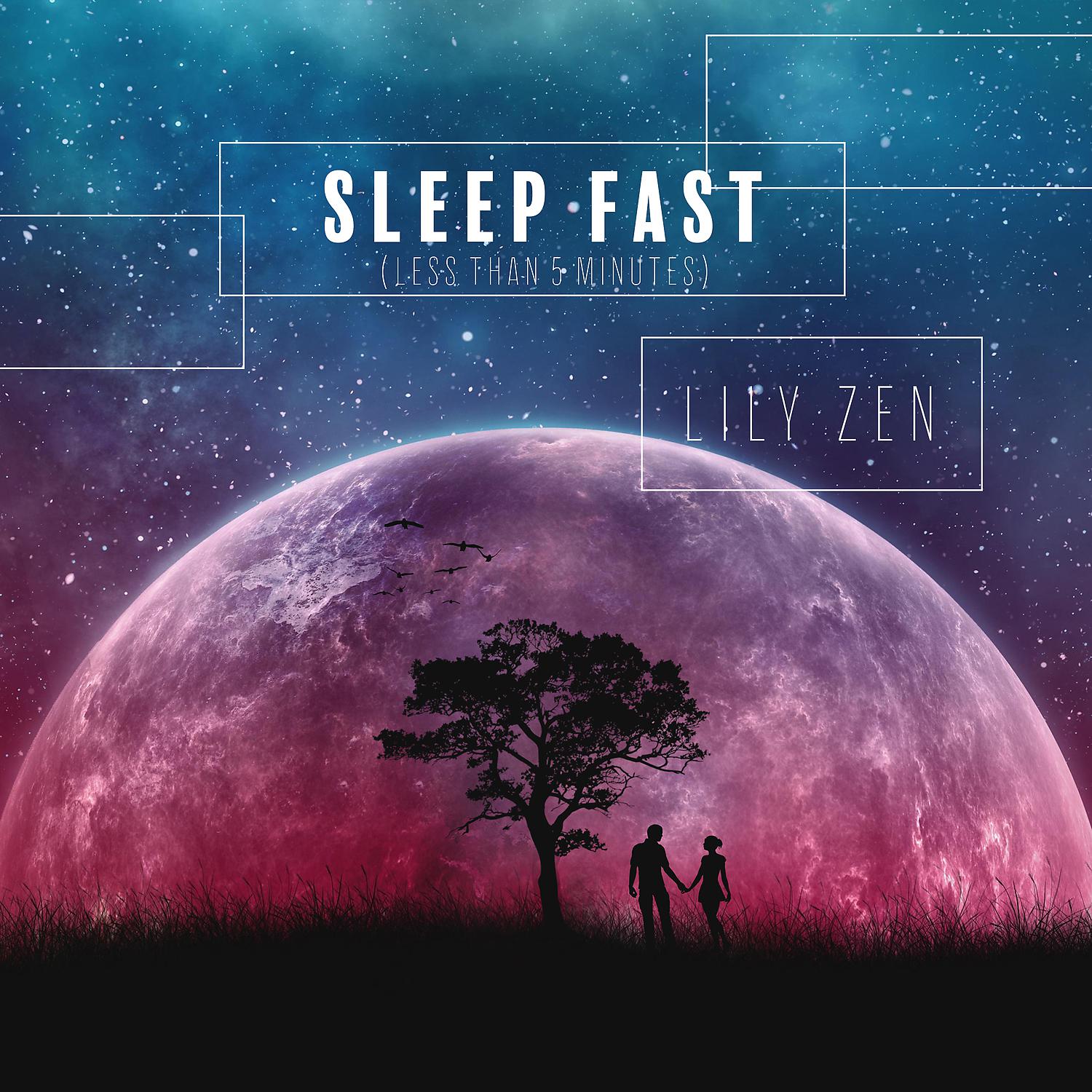 Постер альбома Sleep Fast (Less than 5 Minutes): Deep Sleep Music and Relaxation