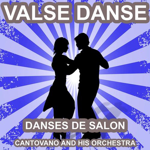 Постер альбома Valse Danse