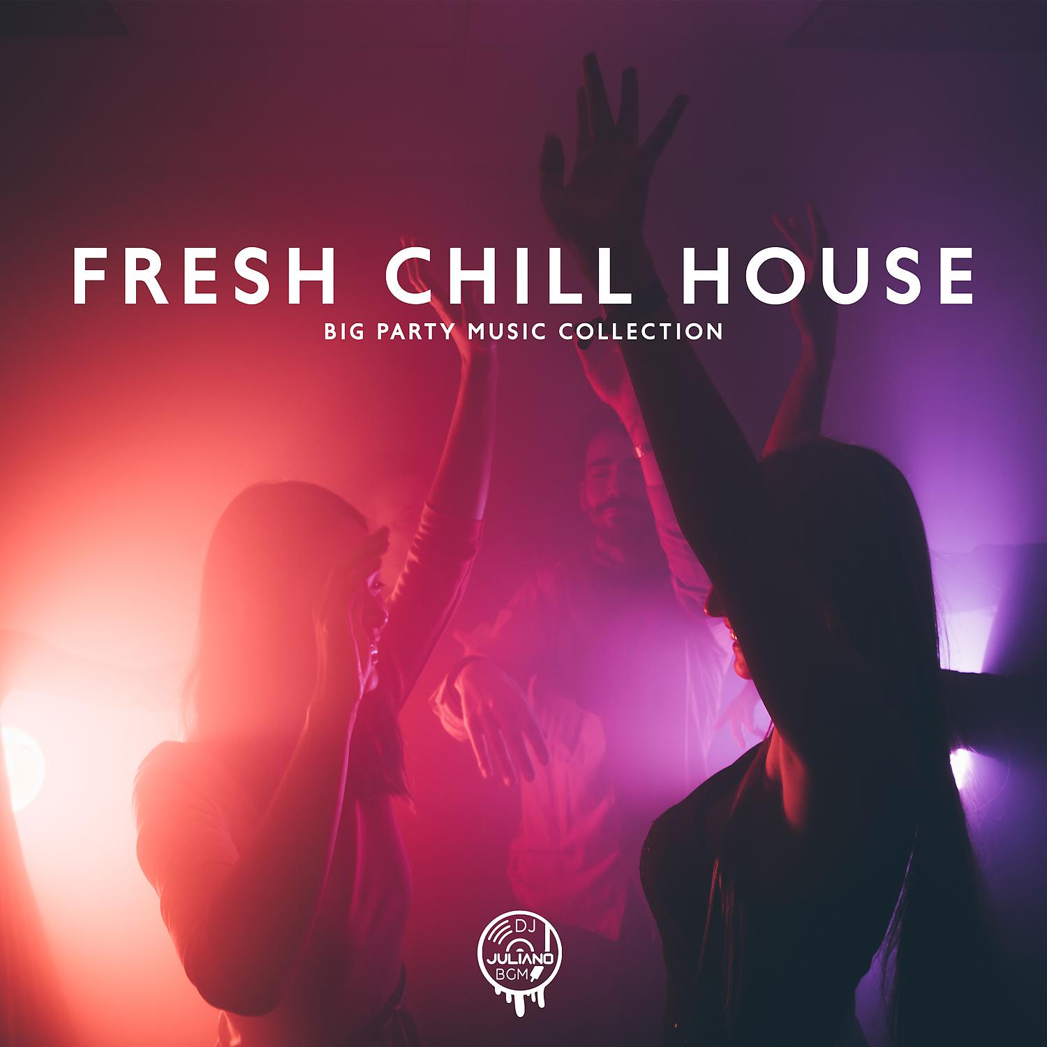 Постер альбома Fresh Chill House: Big Party Music Collection