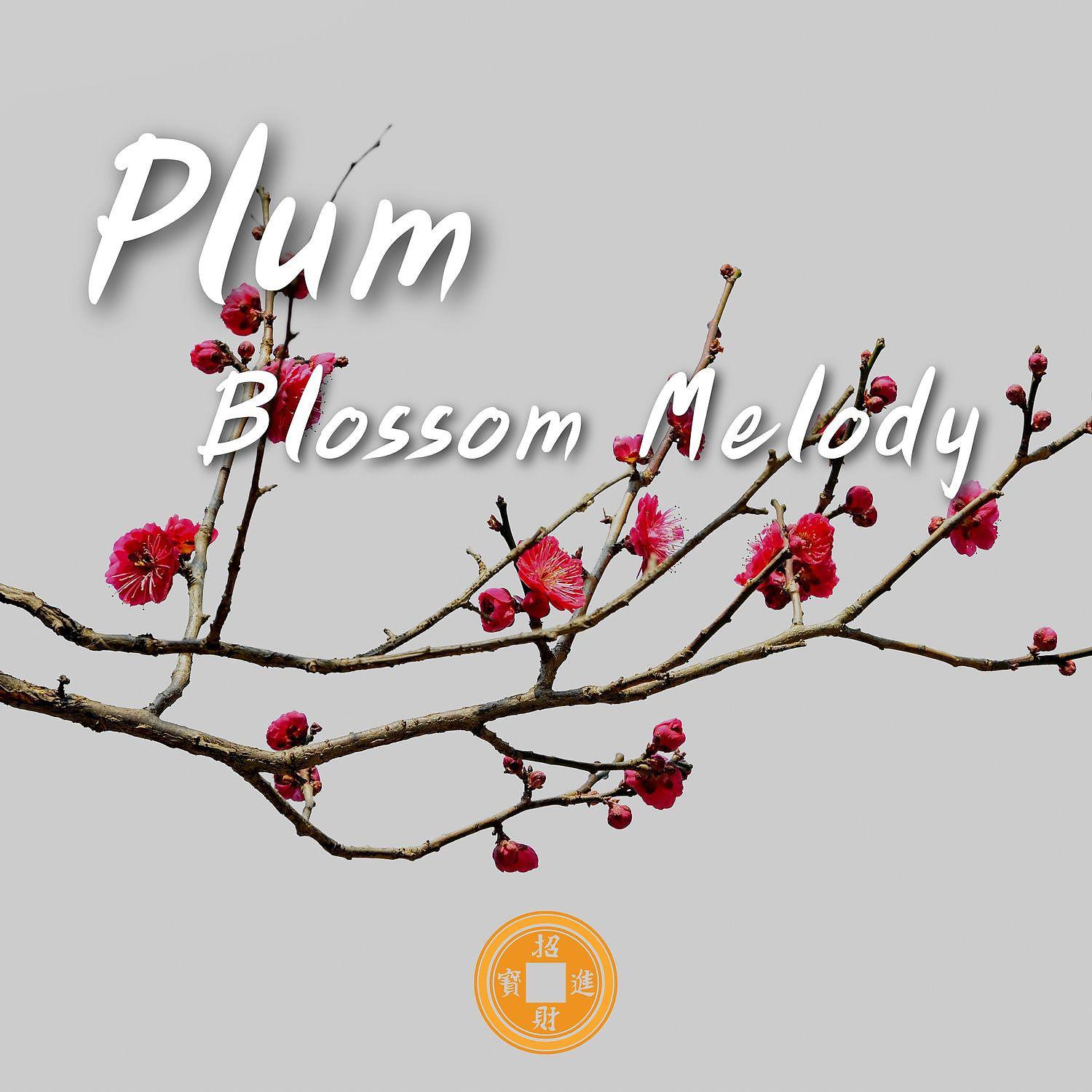 Постер альбома Chinese Music, Plum Blossom Melody