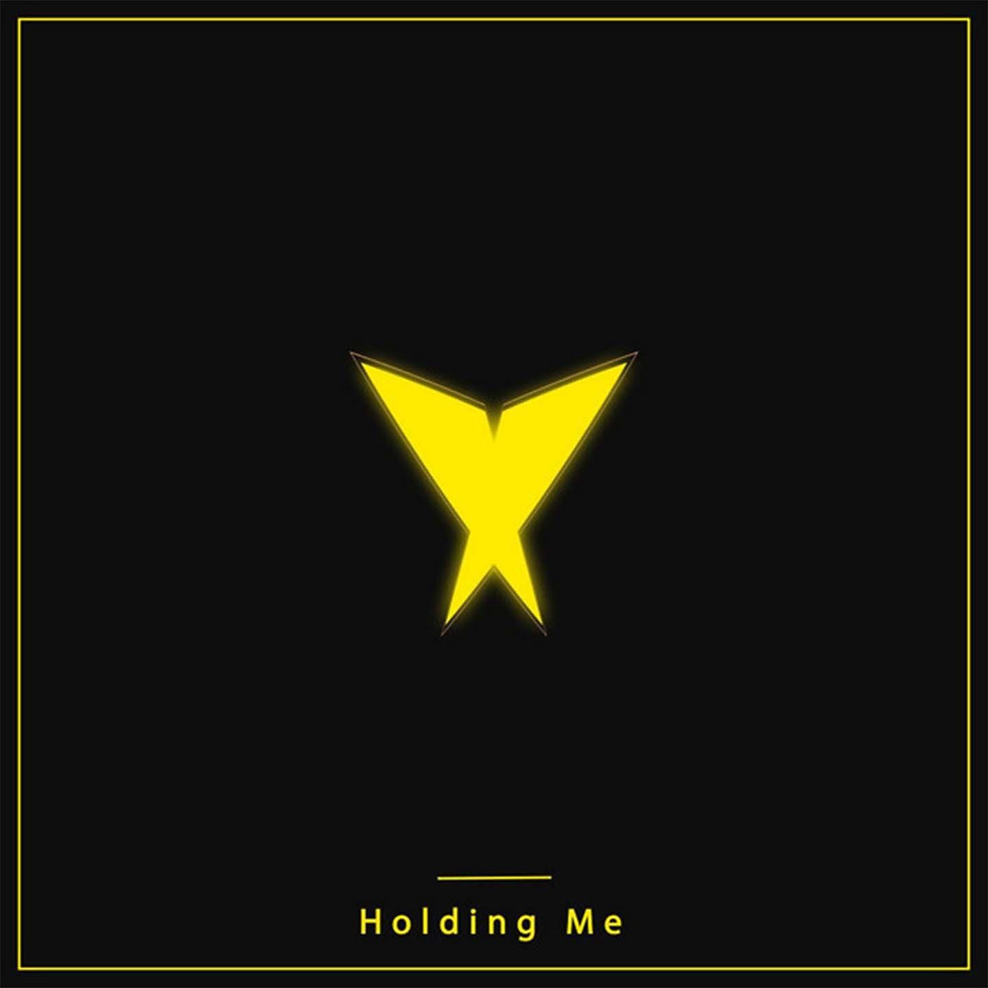 Постер альбома Holding Me