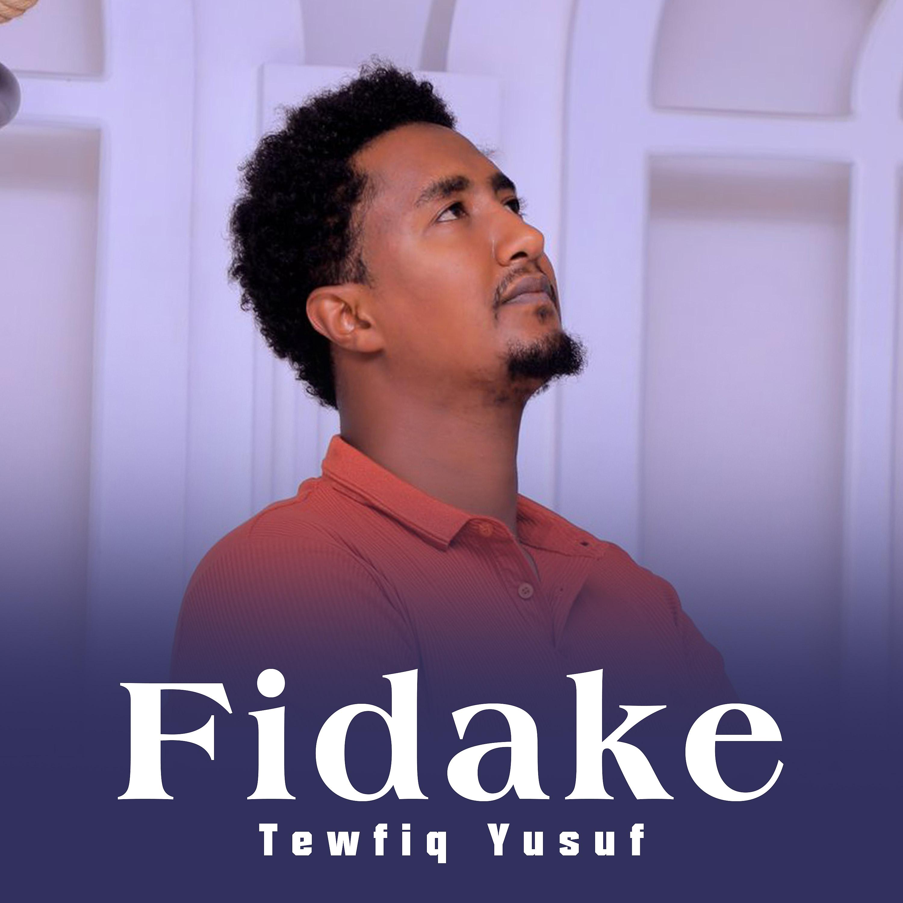 Постер альбома Fidake