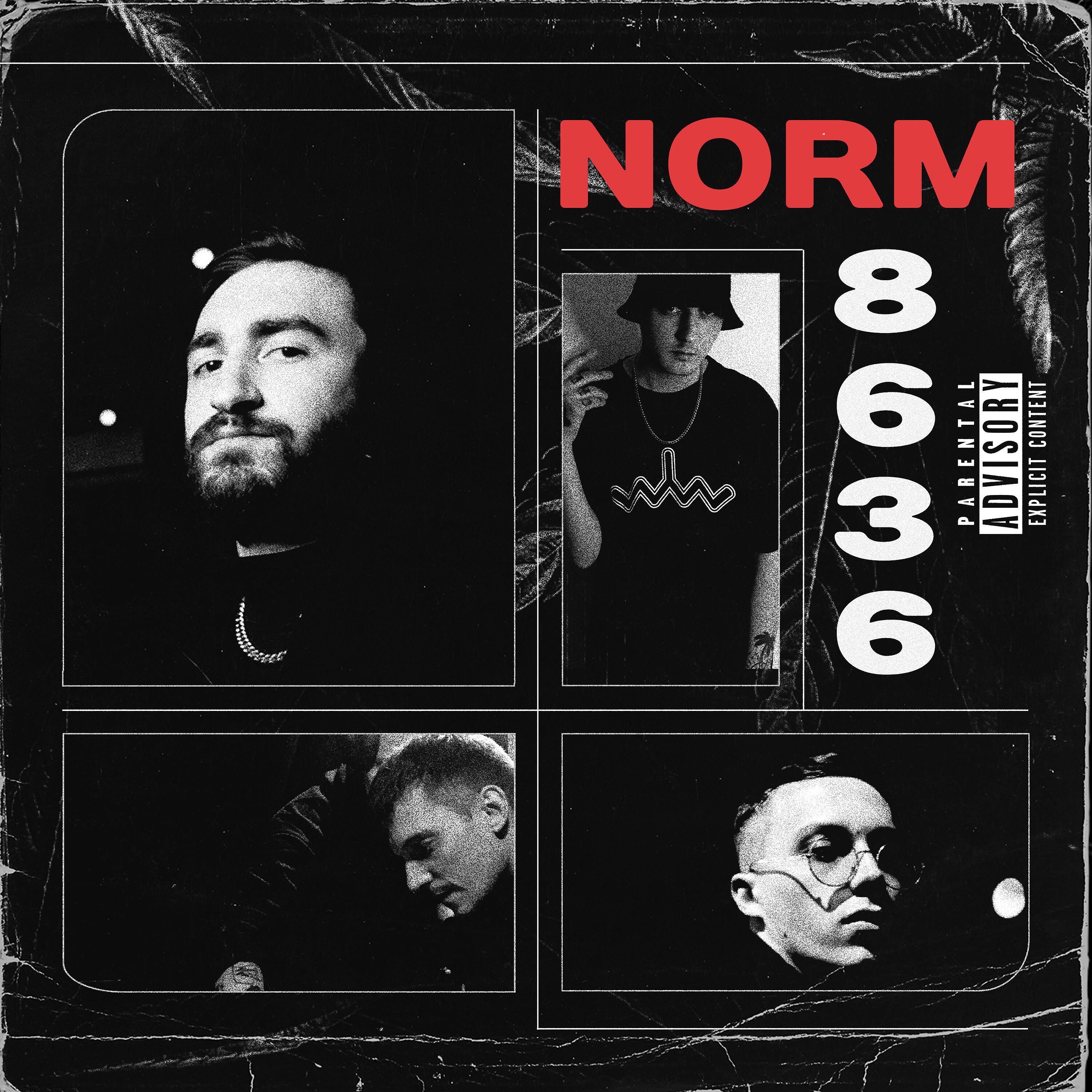 8636 - Norm