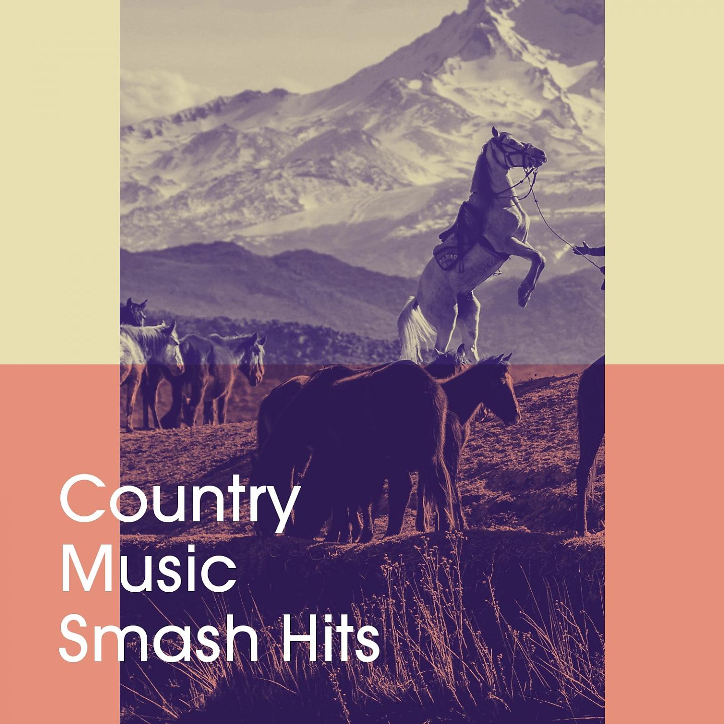 Постер альбома Country Music Smash Hits