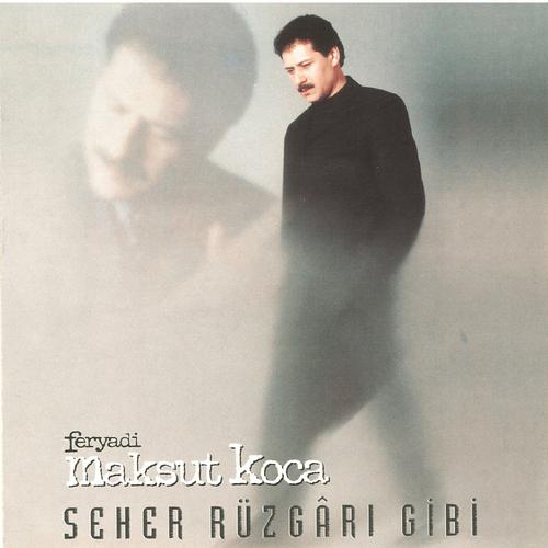 Постер альбома Seher Rüzgarı Gibi