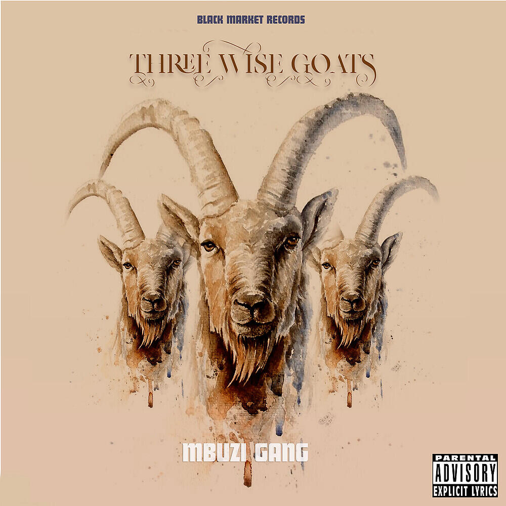 Mbuzi Gang - Shida