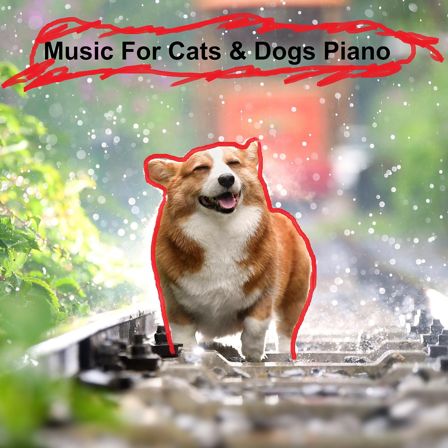 Постер альбома Music For Cats & Dogs Piano