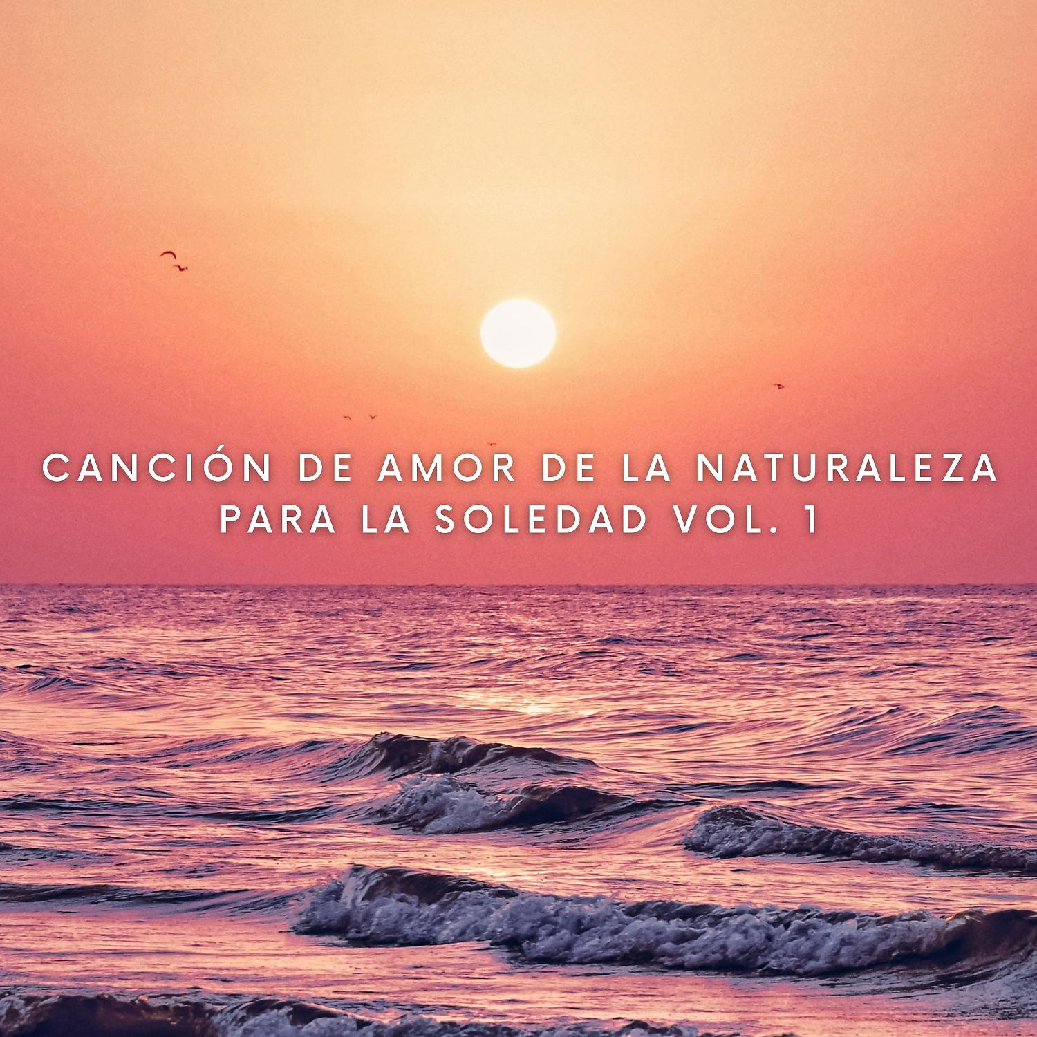 Постер альбома Canción De Amor De La Naturaleza Para La Soledad Vol. 1