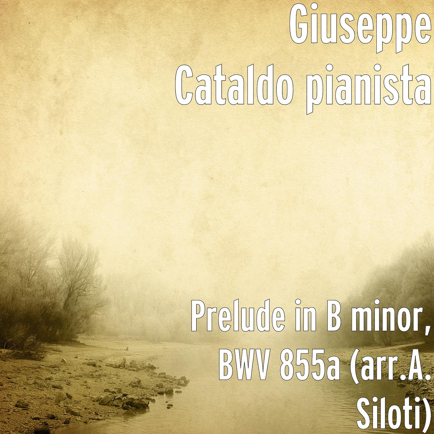 Постер альбома Prelude in B minor, BWV 855a (arr.A. Siloti)