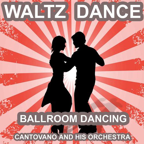 Постер альбома Waltz Dance