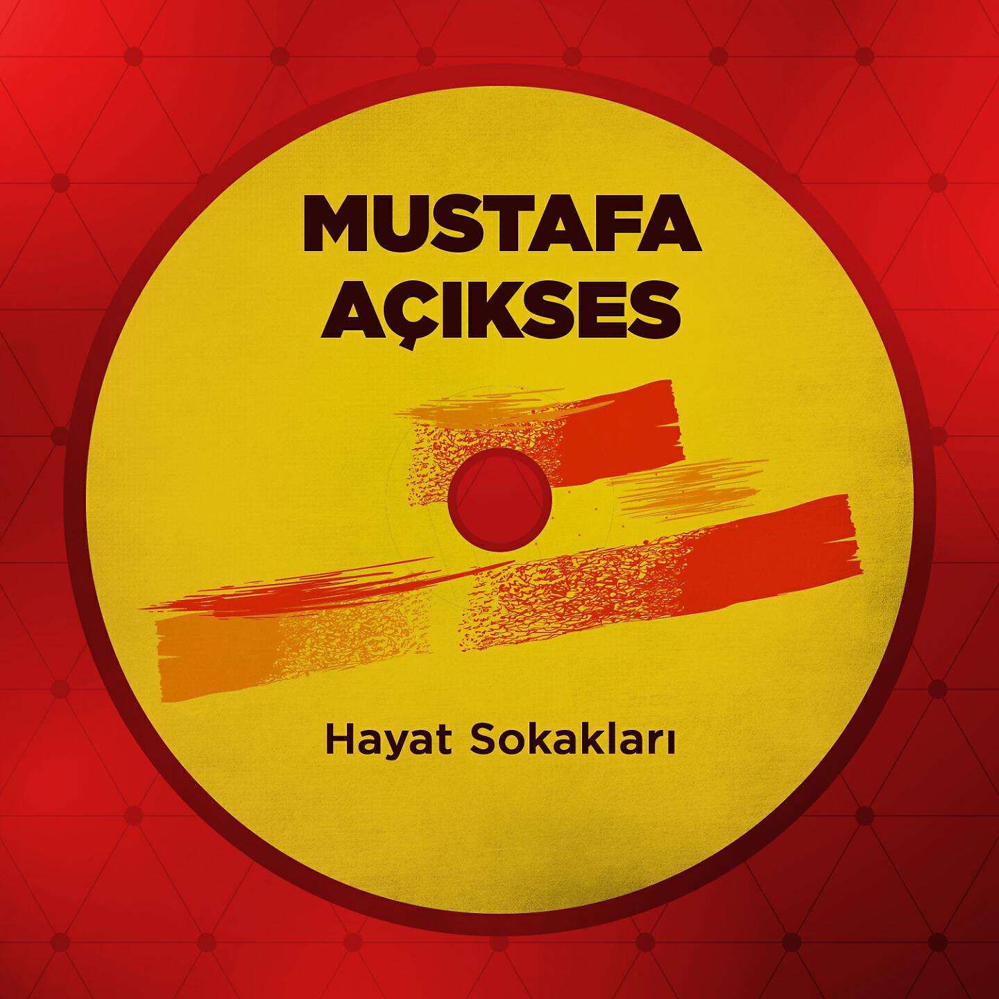 Mustafa Açıkses - Bir Yiğit Sıladan