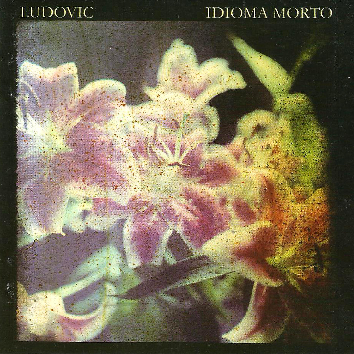Ludovic - Atrofiando / Recém-Convertido / Ex-Futuro Diplomata