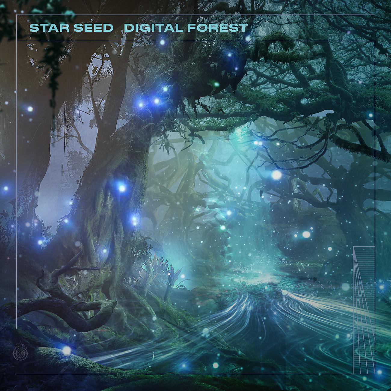 Постер альбома Digital Forest