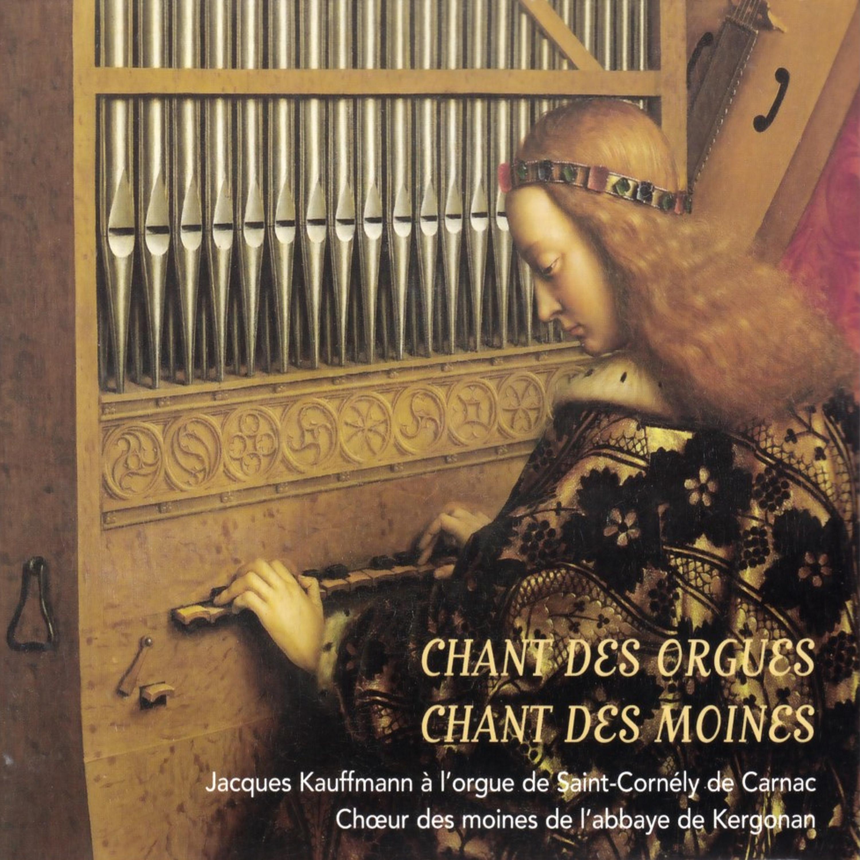 Постер альбома Chant des orgues, chant des moines