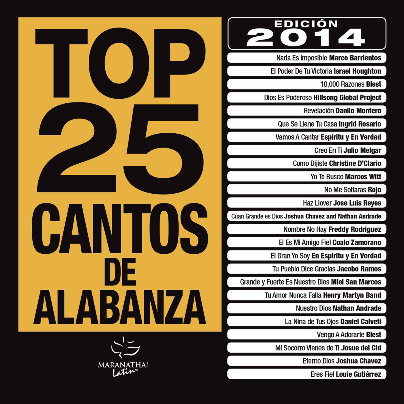 Постер альбома Top 25 Cantos De Alabanza (Edición 2014)