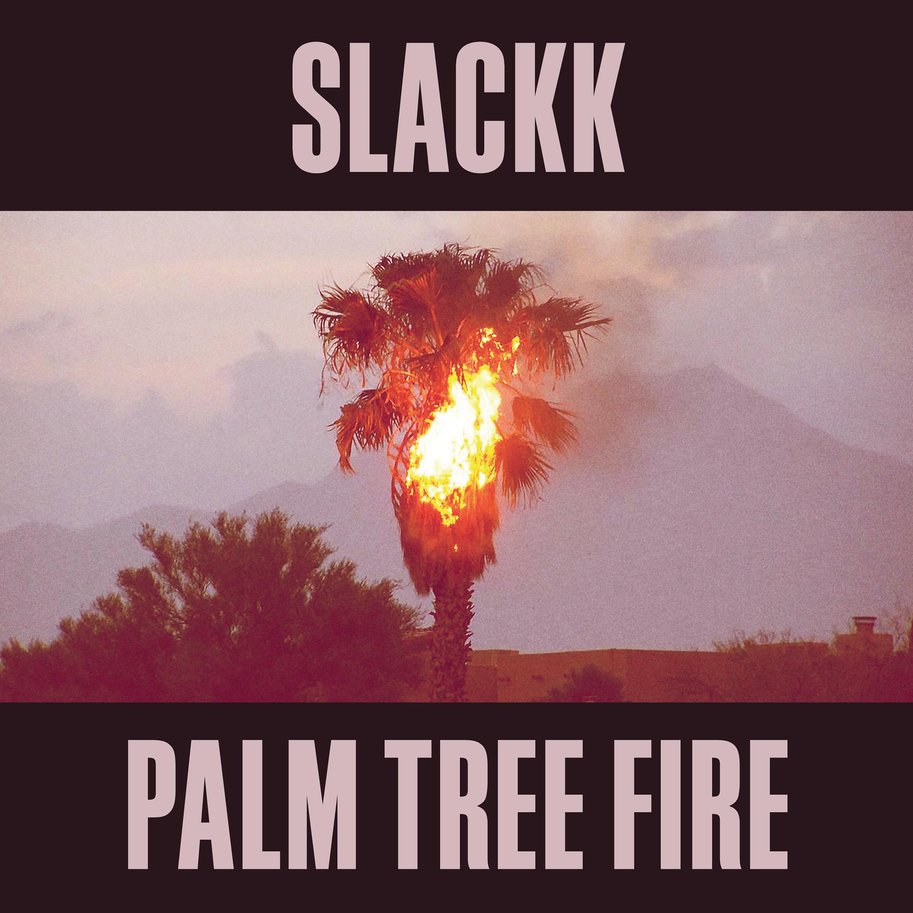 Постер альбома Palm Tree Fire