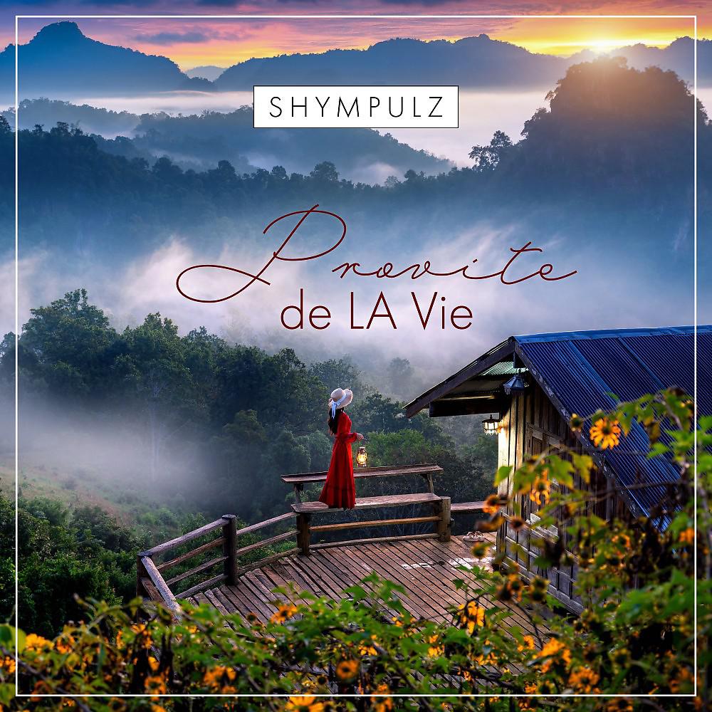 Постер альбома Provite de LA Vie