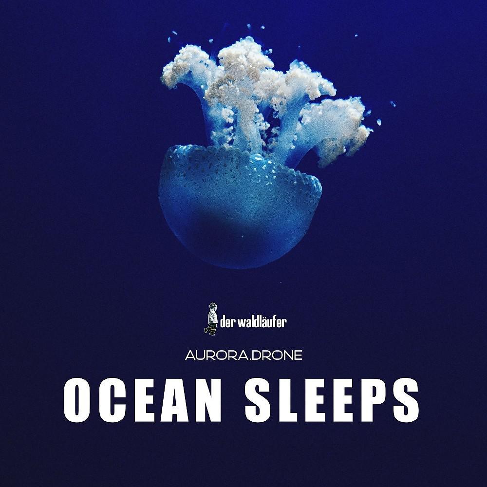 Постер альбома Ocean Sleeps (432Hz Version)