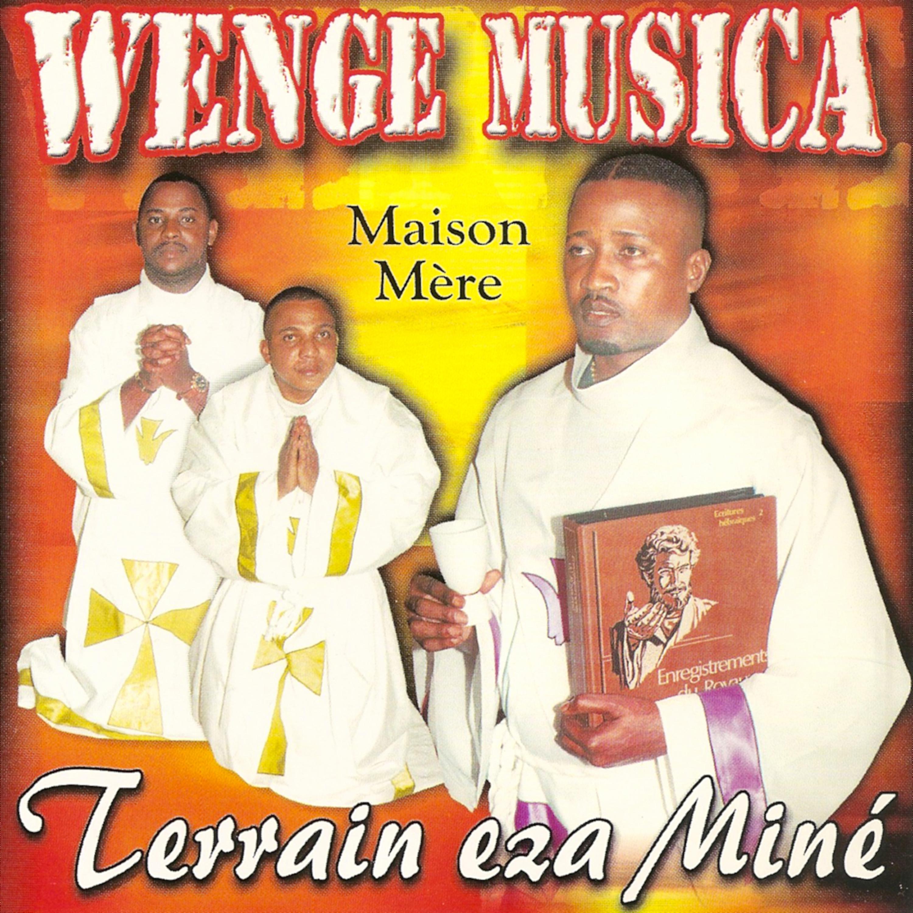Постер альбома Terrain eza miné