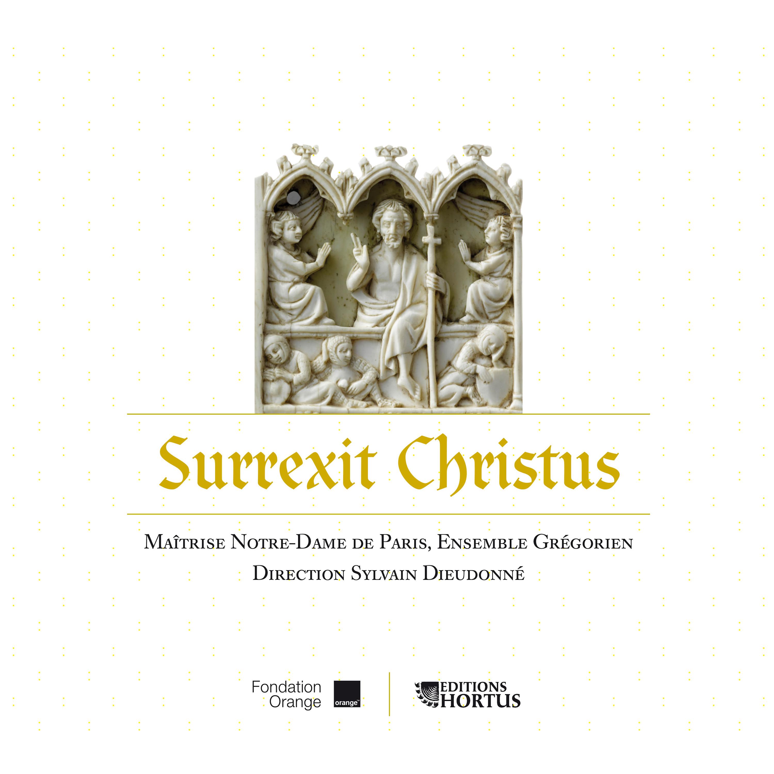 Постер альбома Surrexit Christus