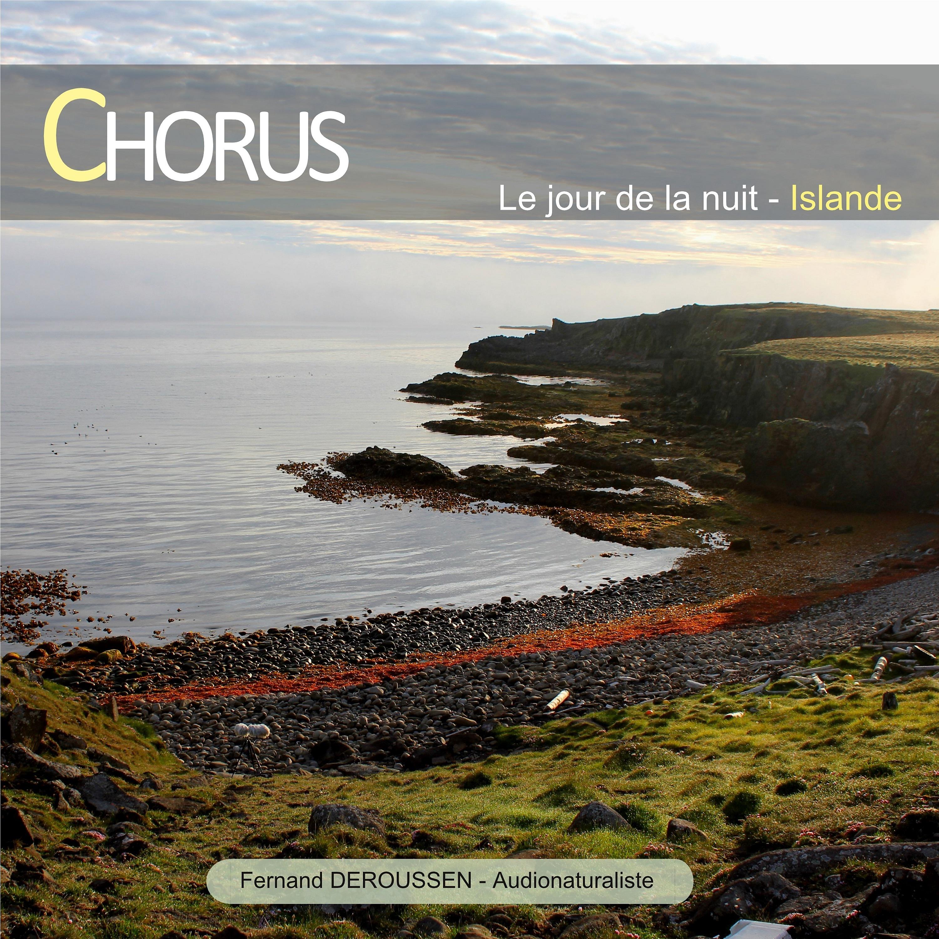 Постер альбома Chorus : Le jour de la nuit (Islande)