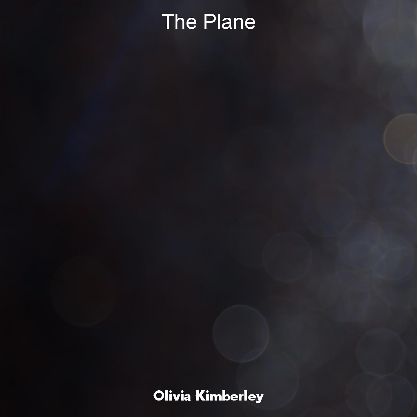 Постер альбома The Plane