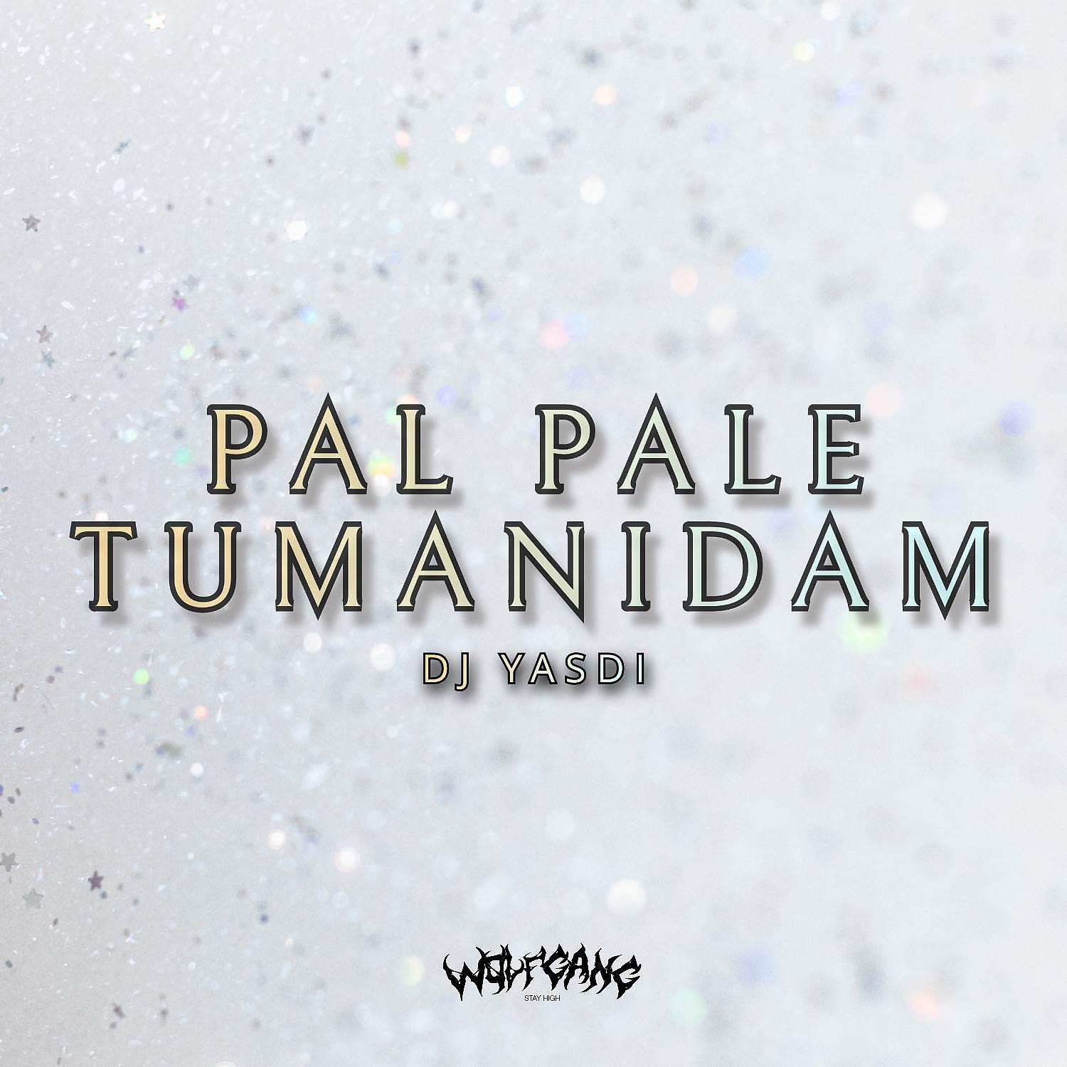 Постер альбома PAL PALE TUMANIDAM