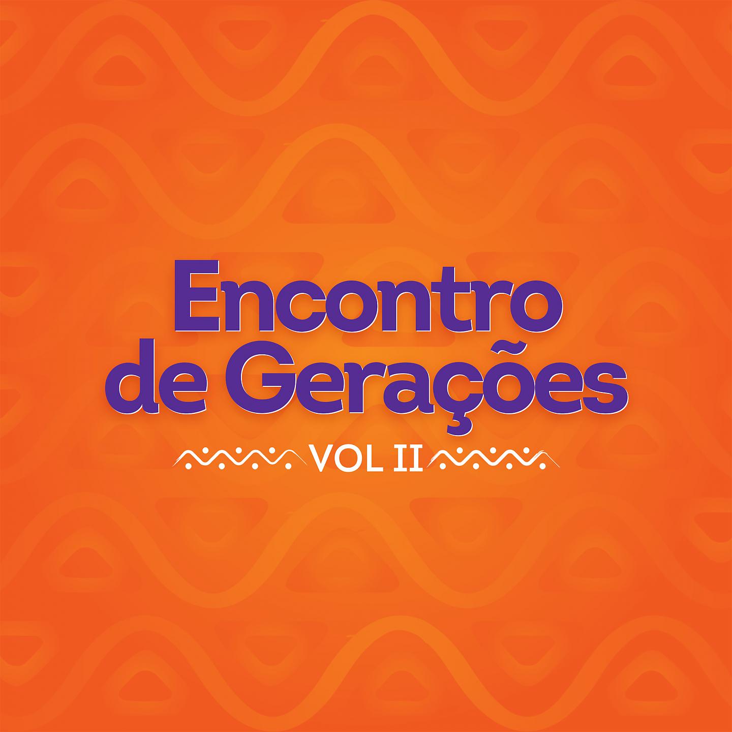 Постер альбома Encontro De Gerações, Vol. 2