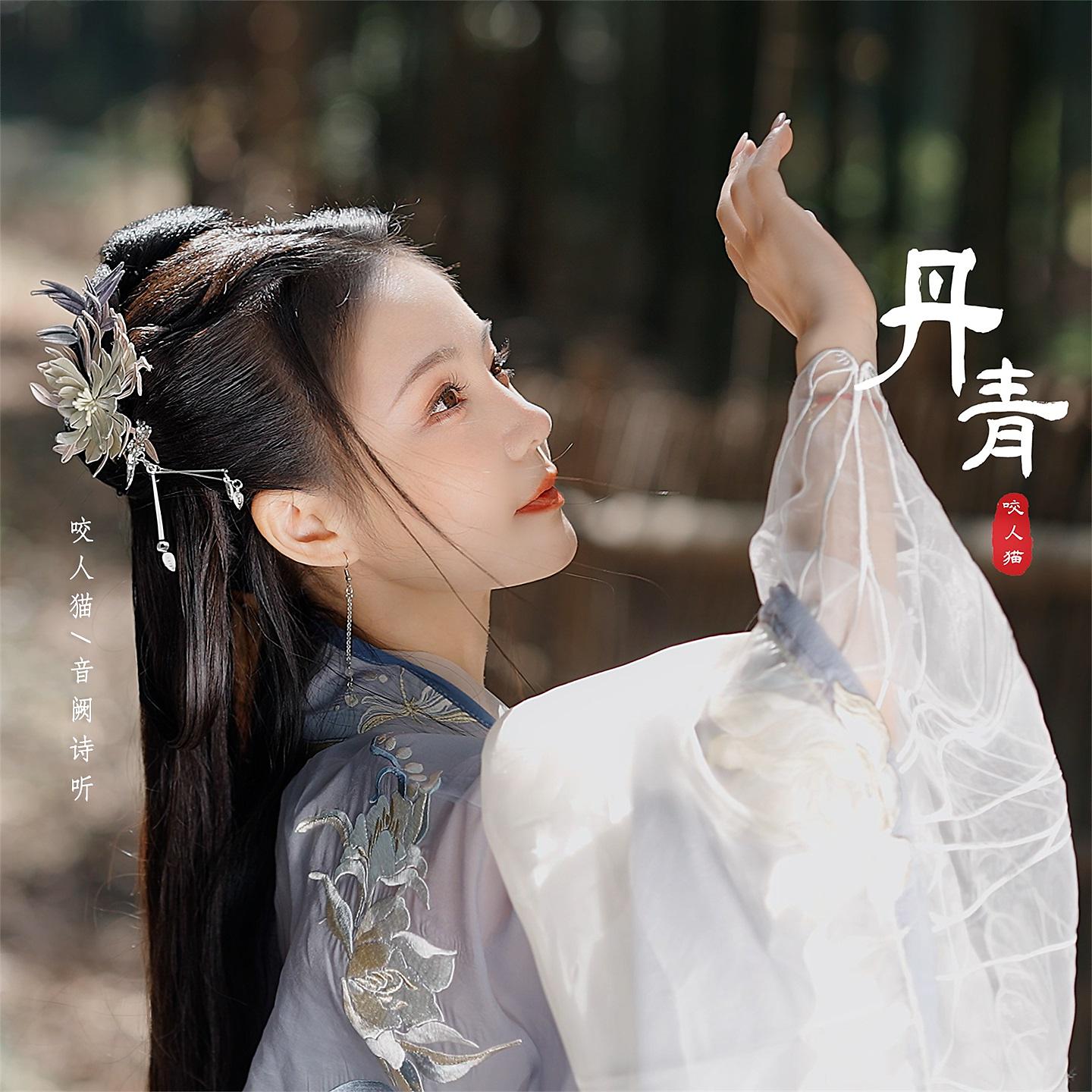 Постер альбома 丹青