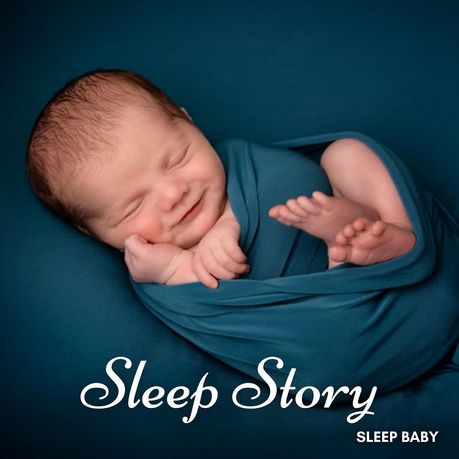 Постер альбома Sleep Baby: Sleep Story