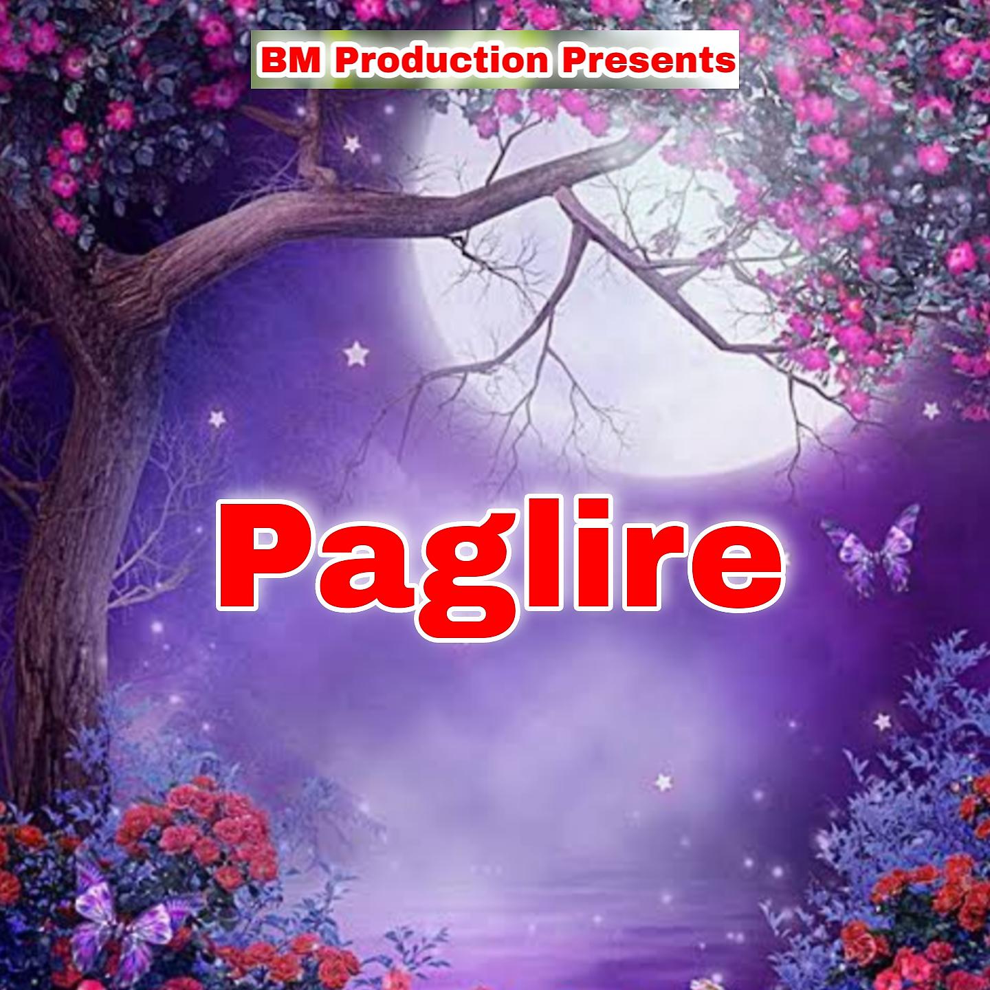 Постер альбома Paglire